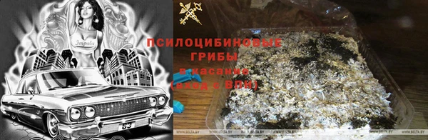 соль ск Аркадак